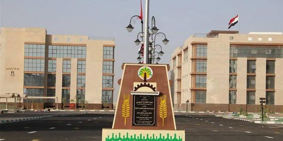 بعد شكاوى المواطنين، محافظة الوادي الجديد تحسم موقف تراخيص اللافتات الإعلانية بشارع موط