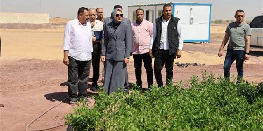 محافظ الوادي الجديد تتابع تطوير موقف الأقاليم الجديد ومصنع تدوير المخلفات الزراعية
