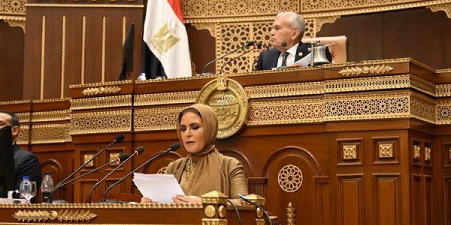 مجلس الشيوخ: قانون الشركات الحالي لا يواكب التحول الرقمي ومتطلبات السوق