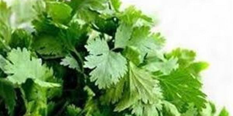 تفسير رؤيا البقدونس في المنام وعلاقتها بالخسائر المادية