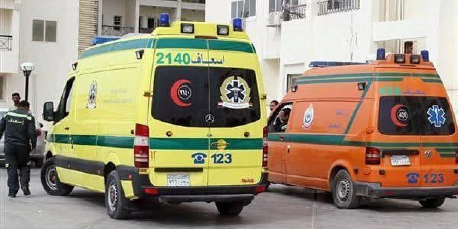 طعنة بسكين تنهي حياة شاب أمام قاعة أفراح بدكرنس في الدقهلية