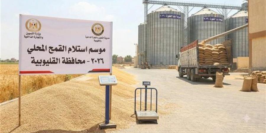 تموين القليوبية: توريد أكثر من 93.5 ألف طن قمح