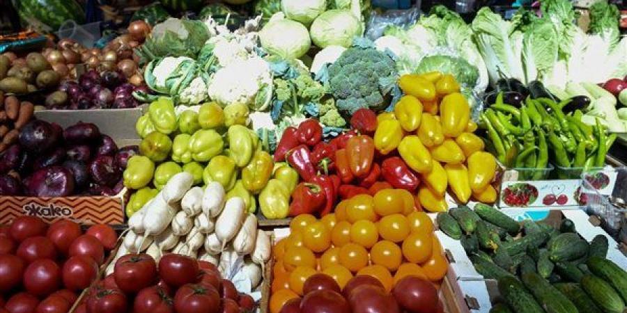 سعر الخضار اليوم، الطماطم تبدأ من 5 جنيهات وارتفاع الخيار البلدي والباذنجان