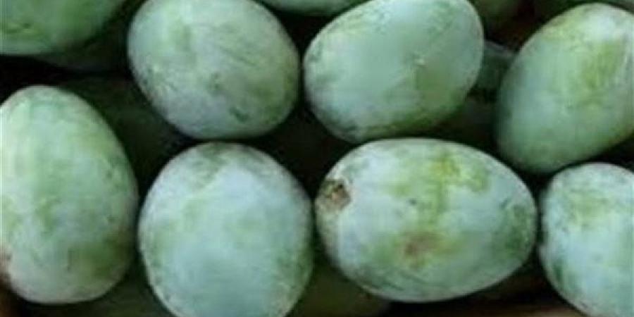 تفسير رؤية المانجو الخضراء في المنام وعلاقتها بتحسن الأوضاع المالية