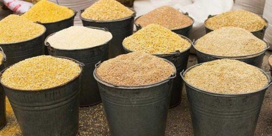 ارتفاع الذرة والصويا، أسعار الأعلاف والحبوب اليوم الثلاثاء في الأسواق