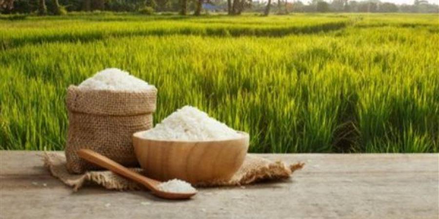 استقرار سعر الأرز بالأسواق اليوم الثلاثاء