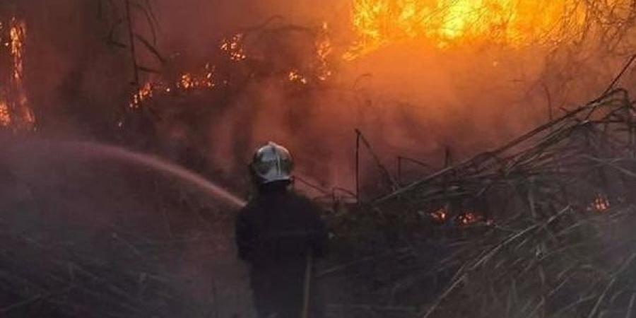 اندلاع 127 حريقا في الجزائر خلال 24 ساعة