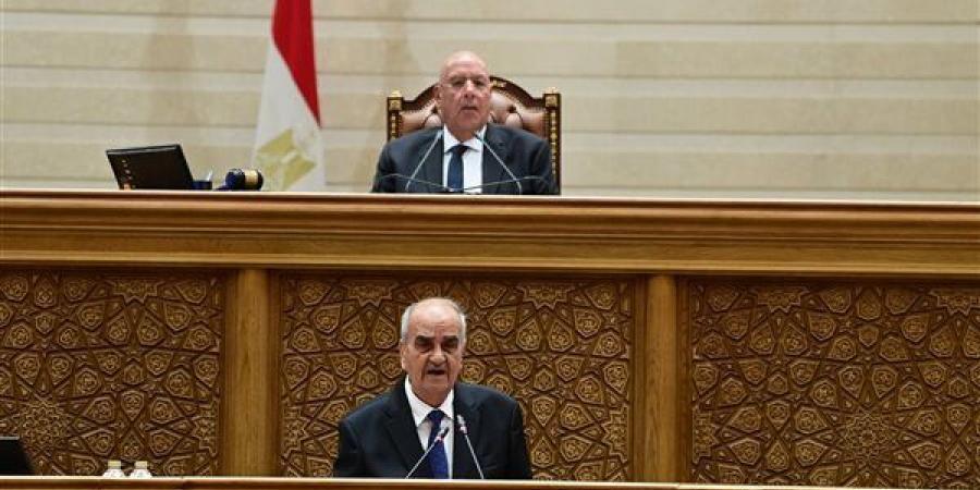 "ربنا يستر"، نائب يكتشف اختفاء أوراق بمقترحاته لتعديل قانون جهاز مستقبل مصر