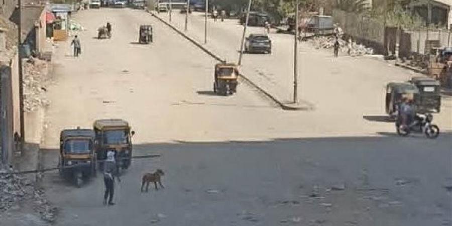 في استجابة سريعة لـ "فيتو"، محافظ الجيزة يوجه بإزالة المخلفات والقمامة وفتح طريق كعبيش بالهرم