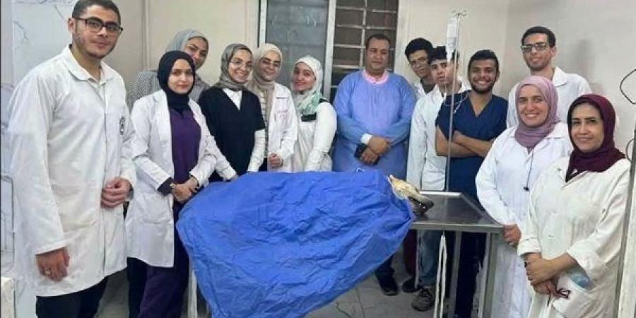 طلاب بيطري القاهرة يشاركون بحملة لتعقيم الكلاب الضالة وفق المعايير الدولية