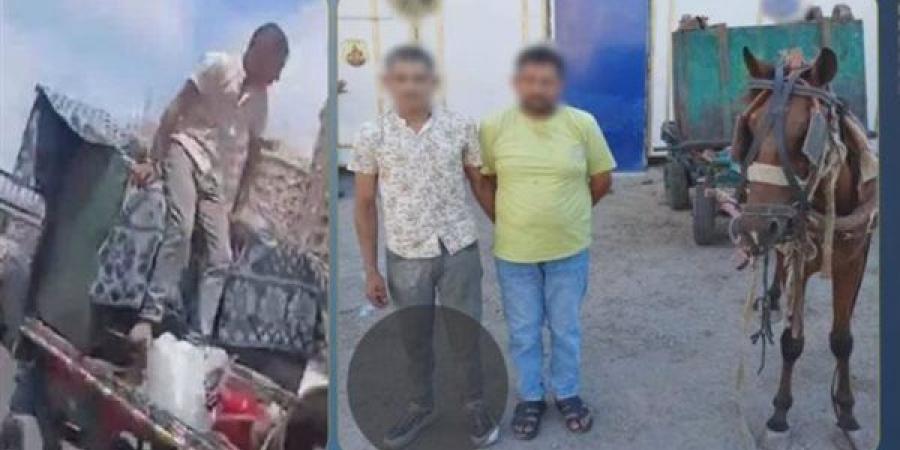 باستخدام عربة كارو، سقوط عاطلين سرقا صندوق قمامة بالإسكندرية