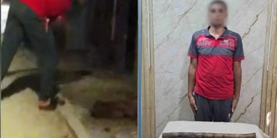 فيديو أثار الغضب، الداخلية تكشف ملابسات واقعة قتل كلب بـ "الشومة" في الغربية