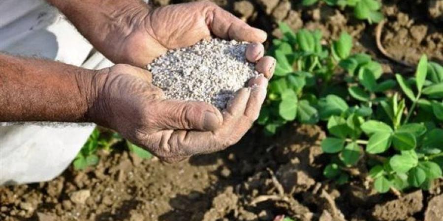 انخفاض النترات العادي 2969 جنيها، أسعار الأسمدة اليوم في الأسواق
