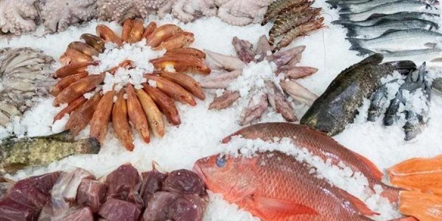 أسعار السمك اليوم، البلطي أقل من الـ 70 جنيها بعد الانخفاض المفاجئ وارتفاع كبير في الكابوريا