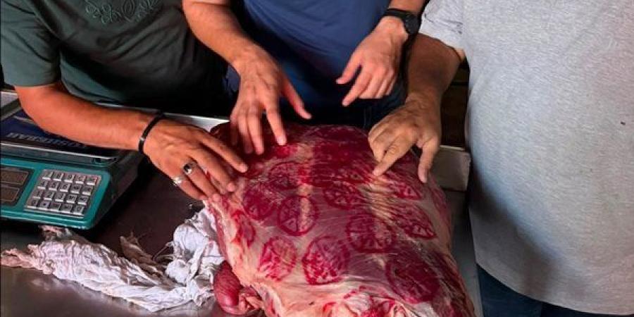تموين الفيوم تتحفظ على لحوم فاسدة قبل طرحها للبيع في الأسواق