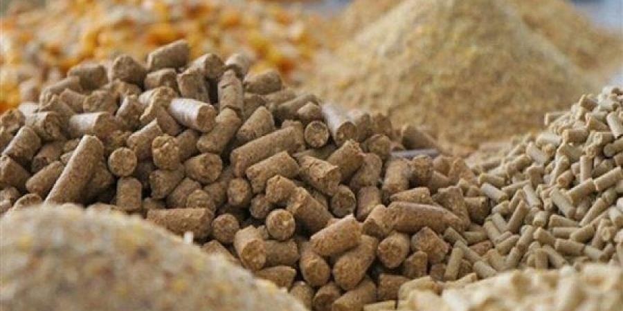 ارتفاع الصويا والجلوتوفيد، أسعار الأعلاف والحبوب اليوم في الأسواق