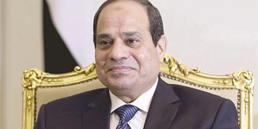 مصر وقبرص تؤكدان ضرورة تسوية القضية الفلسطينية على أساس حل الدولتين ورفض التهجير