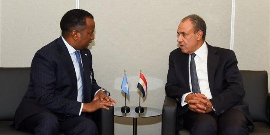 وزير الخارجية يبحث مع نظيره الصومالي سبل تعزيز الشراكة الاستراتيجية