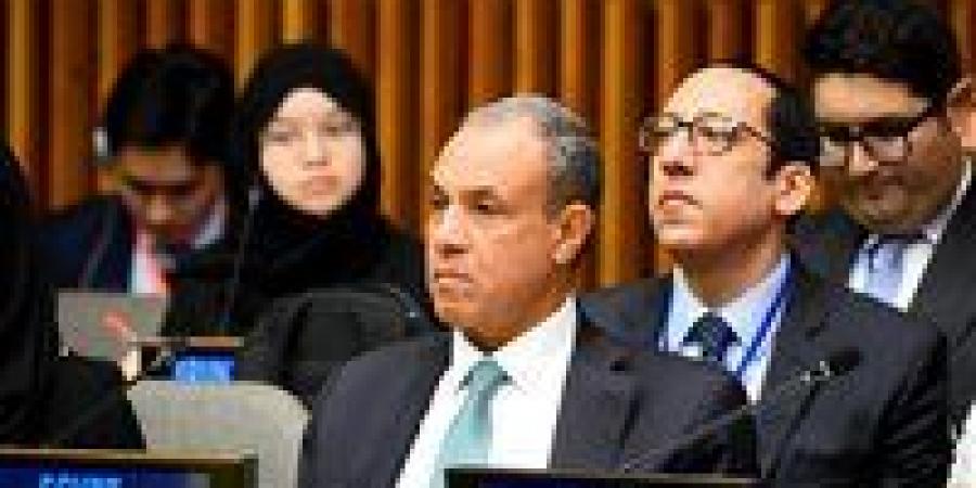 وزير الخارجية يشارك في الاجتماع الوزاري للتحالف العالمي لتنفيذ حل الدولتين