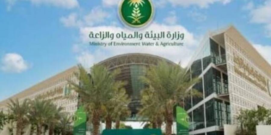 وزارة البيئة تطرح 3 فرص استثمارية في الشرقية والباحة وجازان