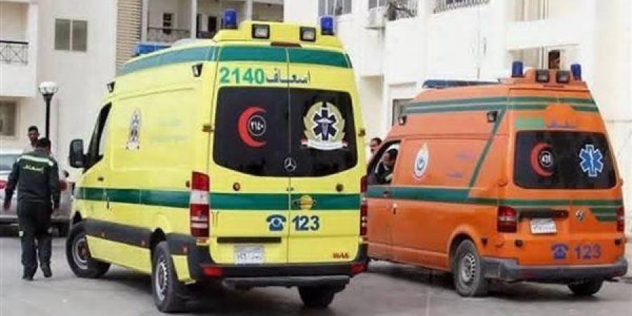 بالأسماء.. مصرع شخصين وإصابة 8 آخرين في حادث تصادم ميكروباص وسيارة ملاكي بالدقهلية