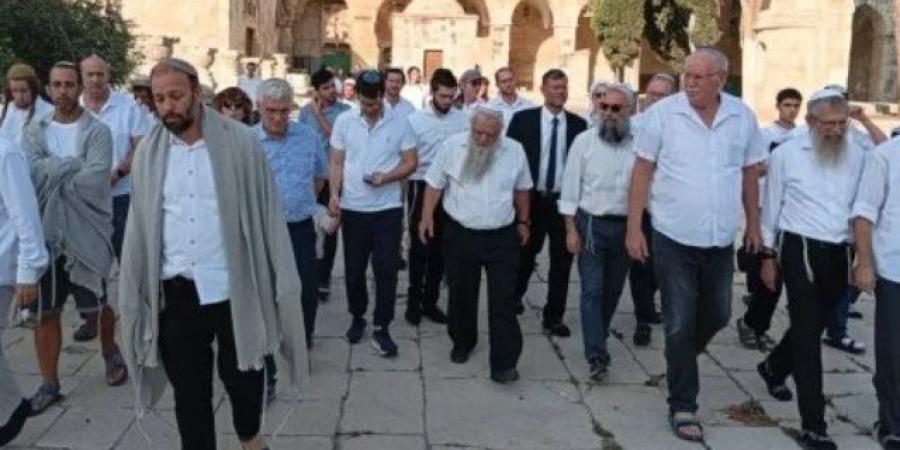 حاملين "قرابين نباتية".. مئات المستعمرين يقتحمون المسجد الأقصى المبارك
