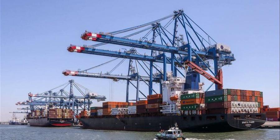 حركة التداول بميناء دمياط، استقبال 14 سفينة وتداول 74 ألف طن بضائع