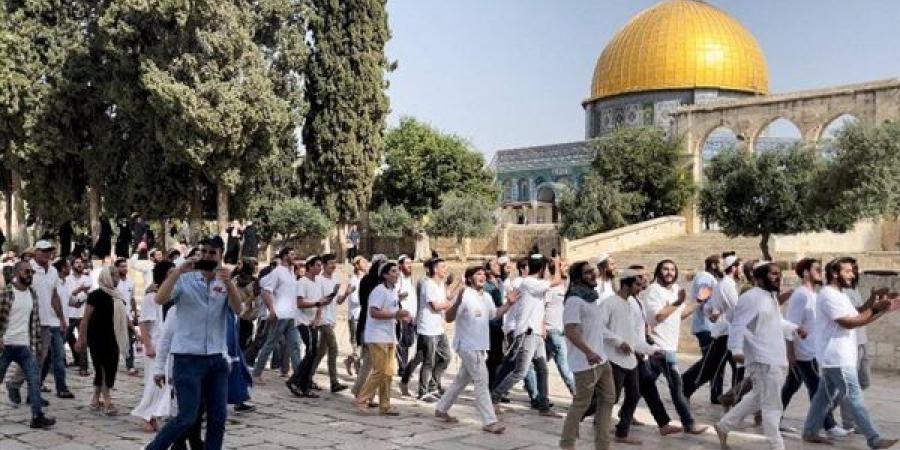 الأوقاف الإسلامية في القدس: 500 مستوطن يقتحمون المسجد الأقصى