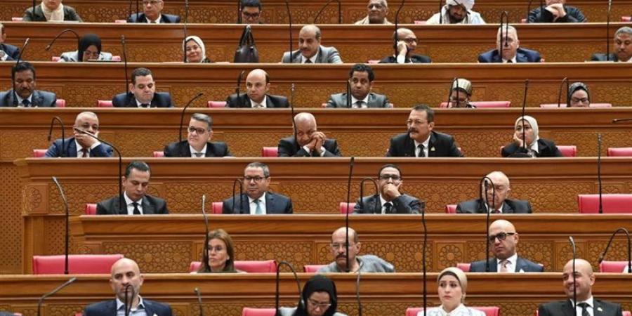 ضياء الدين داوود ينتقد ارتباك خطوات إرجاء الإجراءات الجنائية، والنائب الحصري يوضح توقيت تقديم التعديل