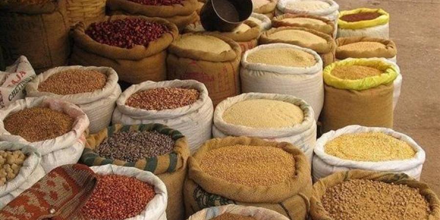 انخفاض الصويا والذرة، أسعار الأعلاف والحبوب اليوم الجمعة في الأسواق