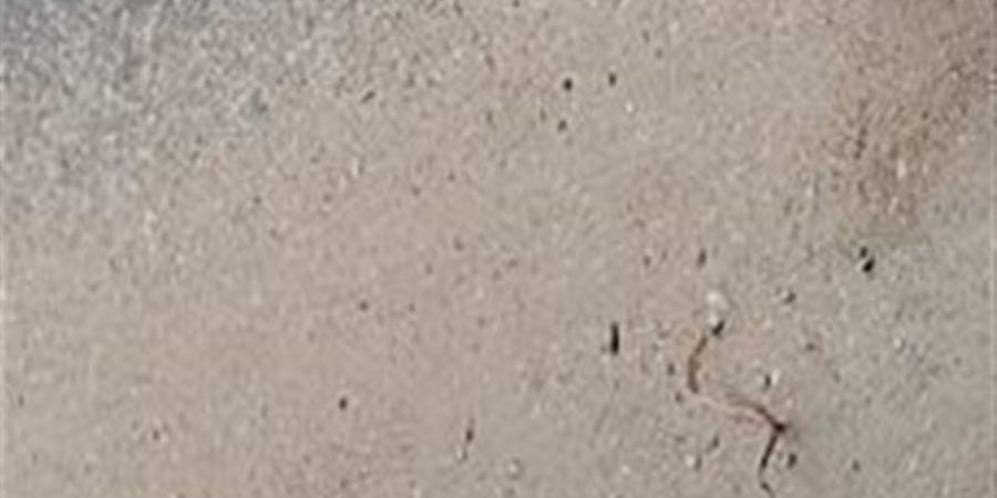 مصيدة الموت، حفرة مكشوفة برصيف شارع النساجون بقنا تهدد حياة المارة (فيديو وصور)