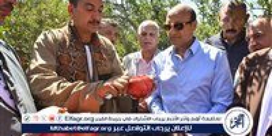 محافظ أسيوط يتفقد حصاد محصول الرمان بقرية بويط بمركز ساحل سليم