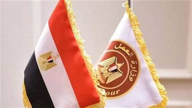 وظائف بمحطة الضبعة برواتب تصل إلى 40 ألف جنيه - التخصصات والتقديم