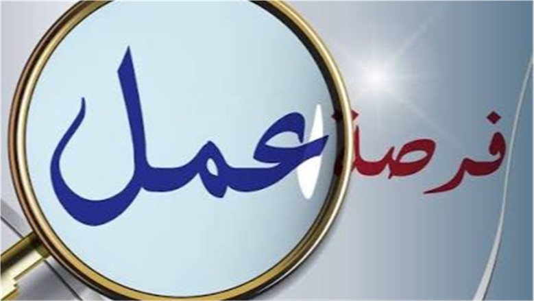 2539 فرصة عمل جديدة متاحة للشباب في 11 محافظة.. موعد وطريقة التقديم