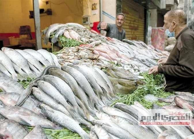 الدنيس بـ 220 جنيهاً.. أسعار الأسماك والمأكولات البحرية بالإسكندرية الأحد 11 أكتوبر 2026