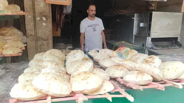 التموين: استمرار تثبيت سعر الرغيف السياحي والفينو وعقوبات للمخابز المخالفة