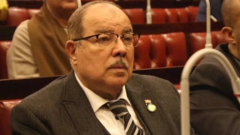 برلماني يطالب الحكومة بخطة واضحة لتأمين السلع الاستراتيجية للمواطنين