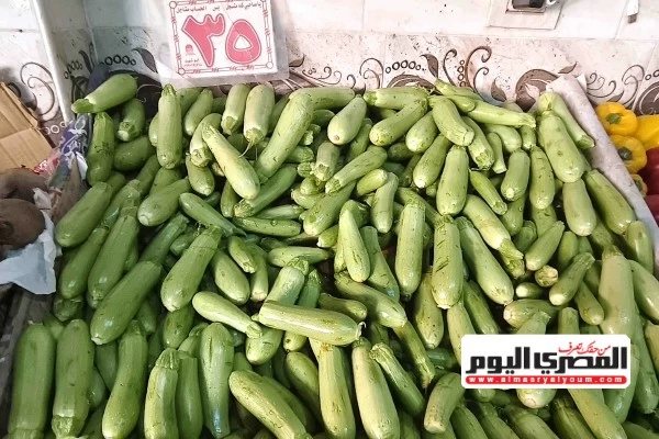 الكوسة بـ35 جنيهًا.. أسعار الخضروات والفاكهة في أسواق مطروح اليوم الأربعاء 21 أكتوبر