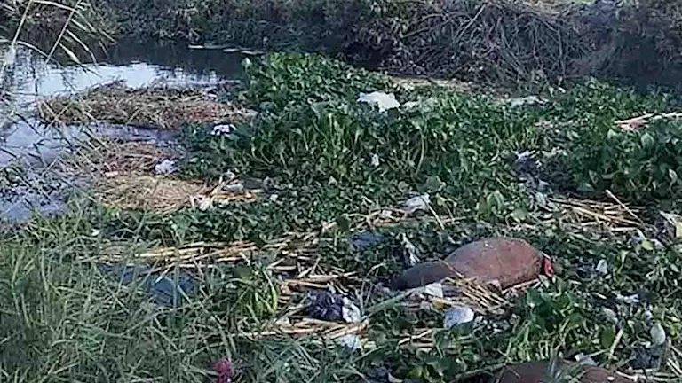 استجابة لمصراوي.. مصدر بالري: رفع مخلفات ترعة أبو دياب بالبحيرة السبت