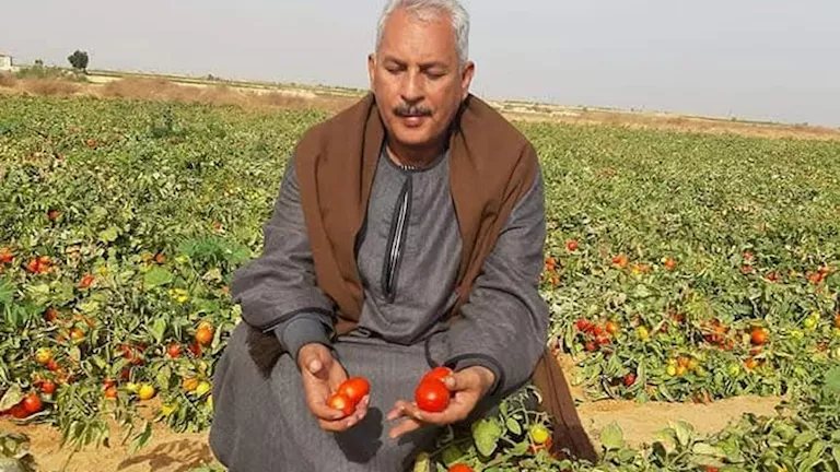 نقيب الفلاحين: استصلاح 5 ملايين فدان إضافية مستهدف خلال السنوات المقبلة