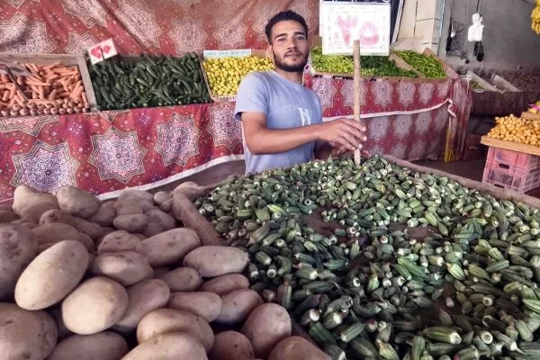 البطاطس بـ25 جنيهًا.. أسعار الخضار اليوم فى مطروح