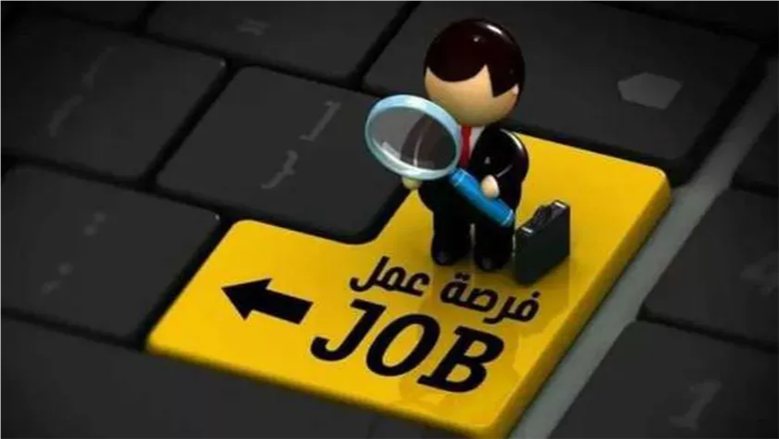 فرص عمل بكفرالشيخ.. التقديم على 5 وظائف مالية بنظام الندب حتى 2 نوفمبر