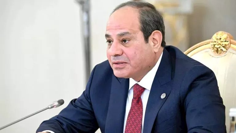 الرئيس السيسي يؤكد أهمية التنسيق مع روسيا بشأن الموضوعات المتعلقة بالحبوب