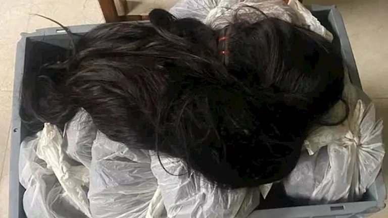 بعد ضبط 12 كيلو شعر طبيعي بمطار الإسكندرية.. تعرف على أسرار تجارته