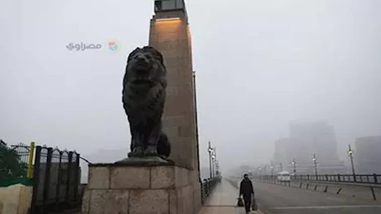 الأرصاد: شبورة وأمطار تمتد إلى القاهرة الكبرى غدًا