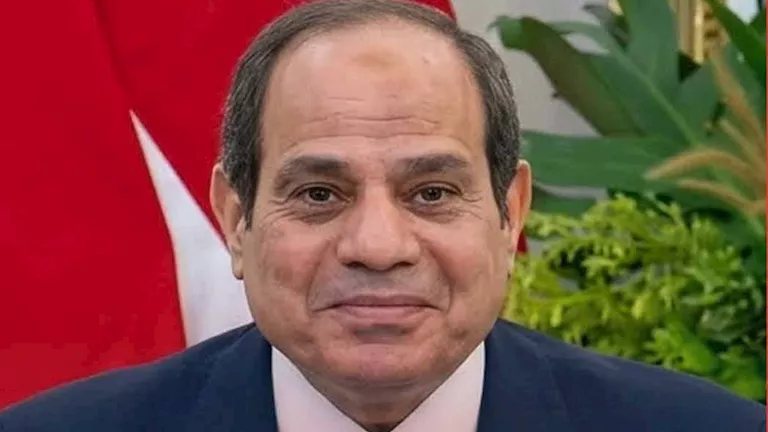 ما المادة 200 في الدستور التي أصر السيسي على إضافتها لتحصين الدولة؟