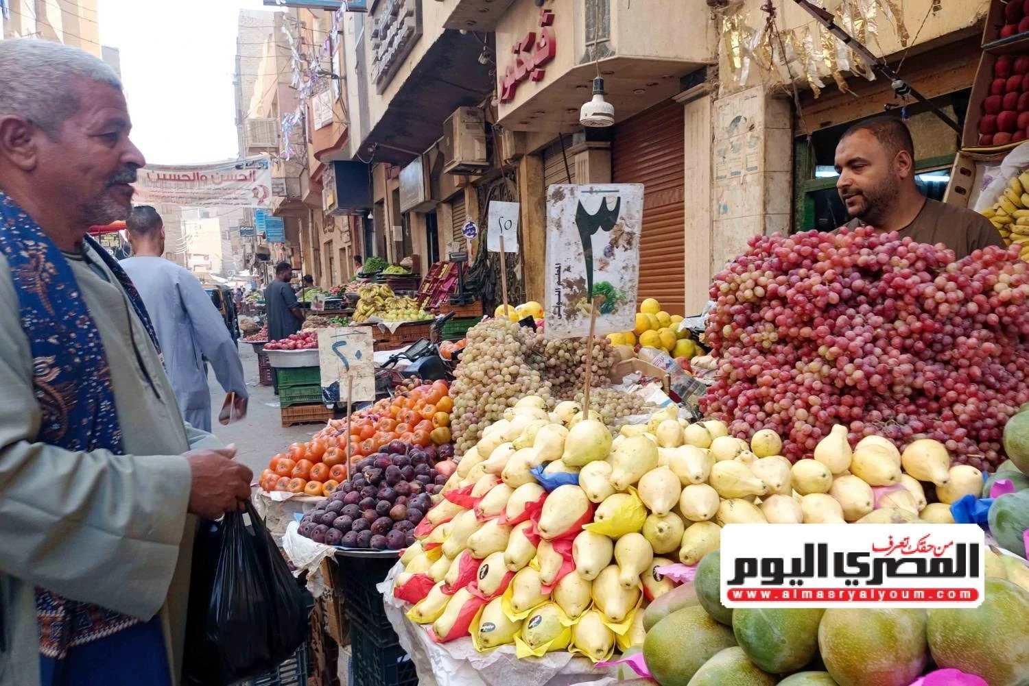 في اليوم العالمي للغذاء.. الإحصاء يعلن ارتفاع إنتاج القمح 5.5% والفاكهة 5.1% خلال عام