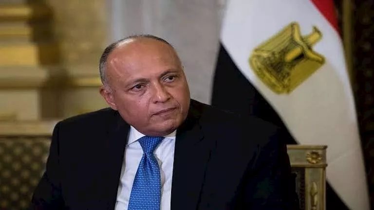 سامح شكري: العلاقات مع السعودية تقتضي تحرك مصر لحماية الأمن القومي العربي