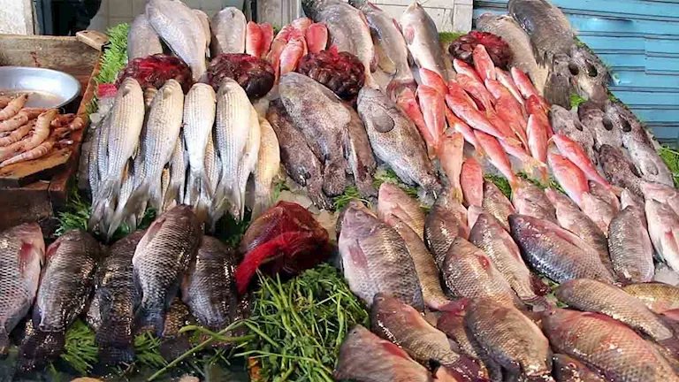 أسعار الأسماك في سوق العبور اليوم.. انخفاض البلطي