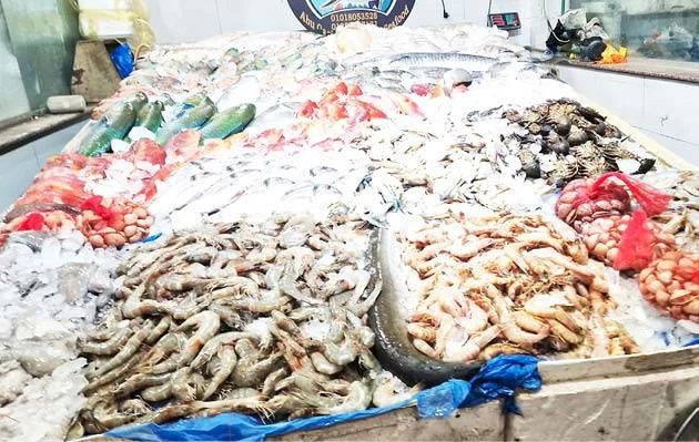 «بلح البحر بـ300 جنيه».. أسعار السمك البلطي والبوري والجمبري بأسواق الإسكندرية اليوم الجمعة 16 أكتوبر 2026